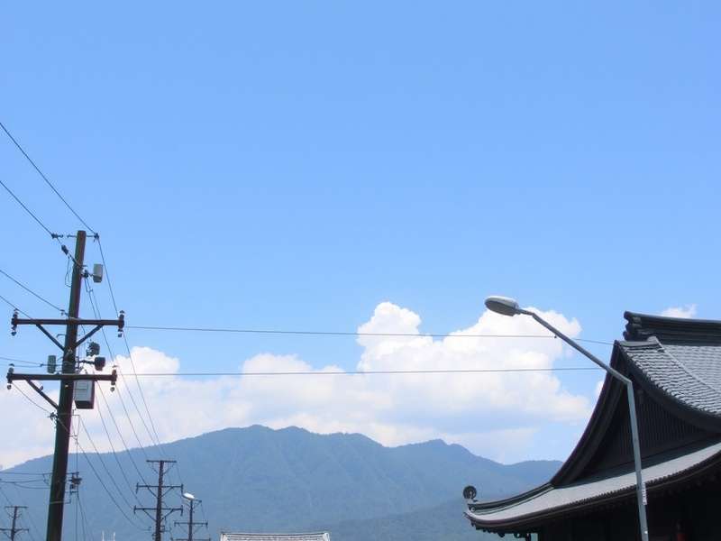 后庭花园动画截图